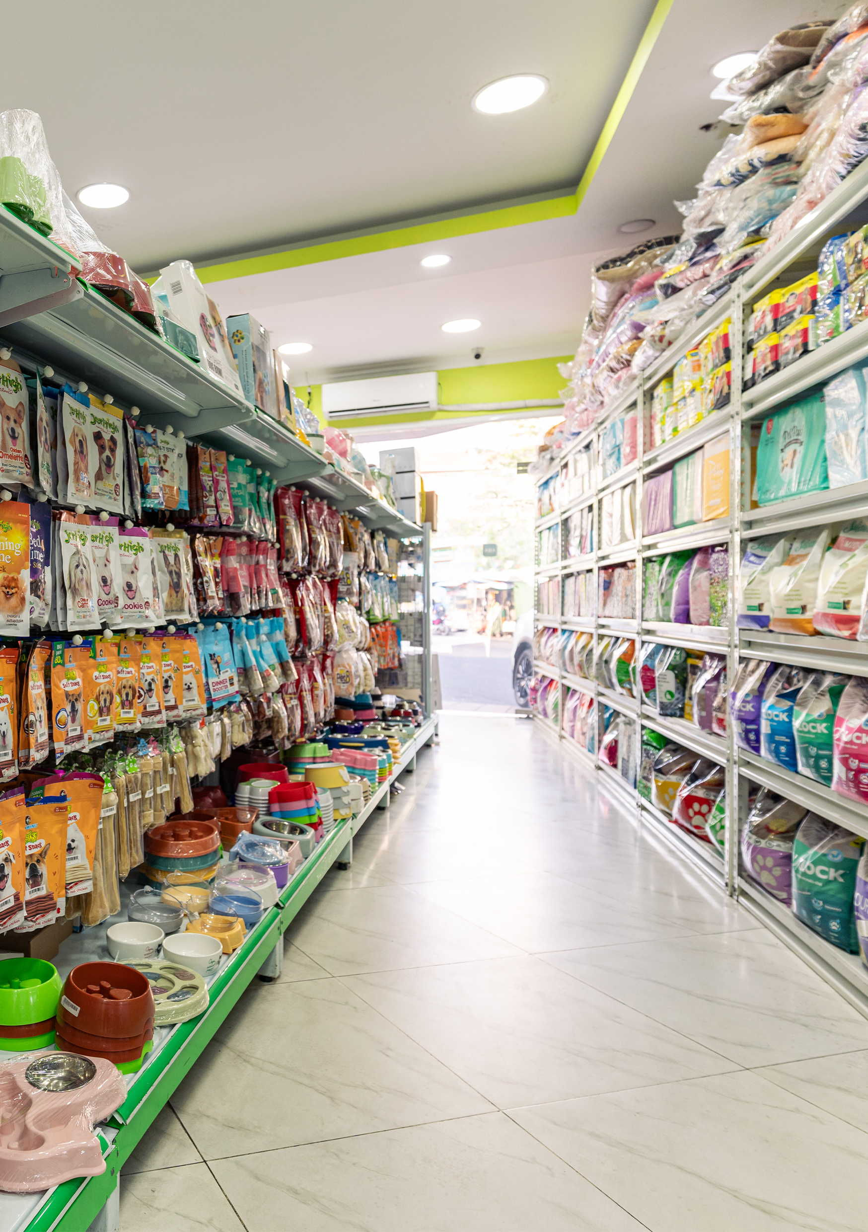 Pet Accessories